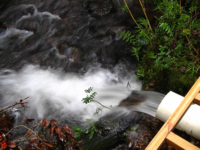 The Generator and Turbine