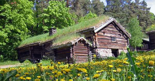 The Log Cabin