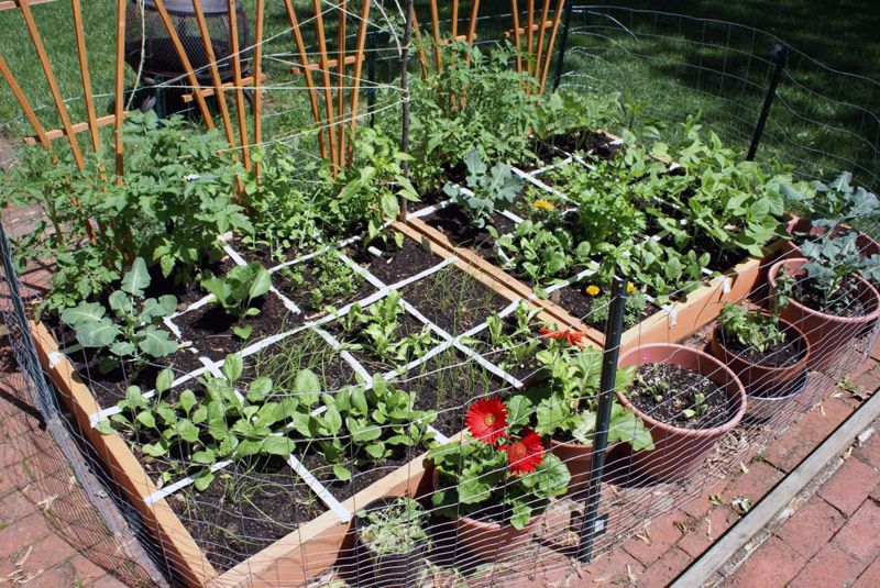 Square Foot Gardening