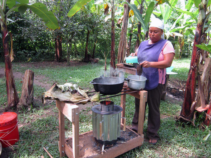 Bio-Char Stove