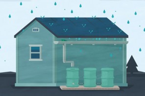 Rainwater Harvesting: Why Everyone Should Care and How to Do It