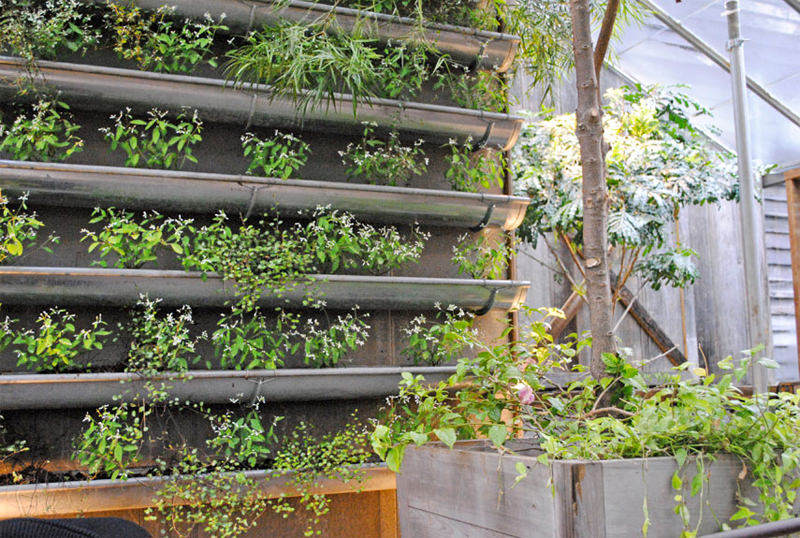 Gutter vertical garden