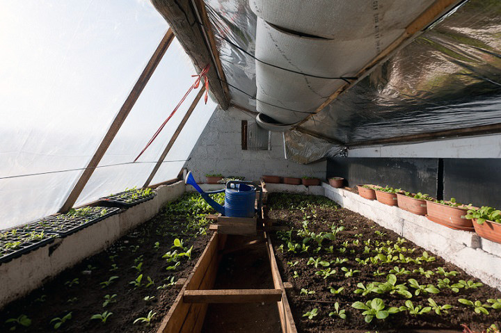 Earth-sheltered greenhouse in Mongolia
