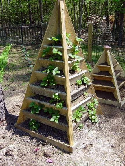 Pyramid garden