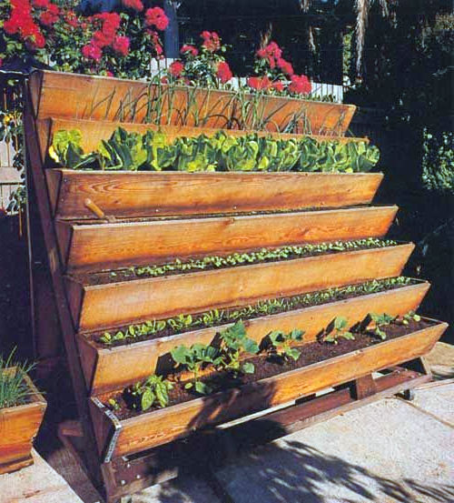 stair garden