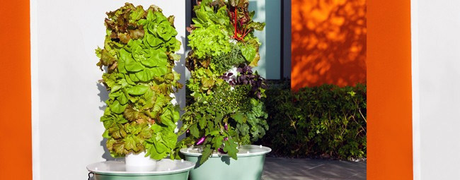 Tower Garden