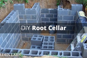How to Build a Root Cellar in 7 Steps