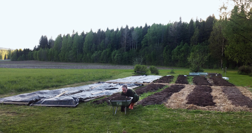 That's me earlier this year finishing up the no-dig growing beds. A one-time input of energy and resources that I won't have to do ever again (except for when creating even more beds).