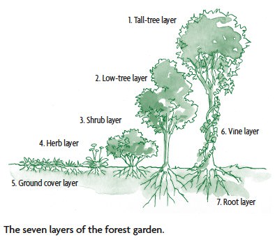 SevenStoryGarden