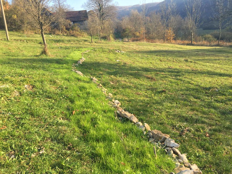 Improving the soil on my site one patch at a time. Hugel swale with red clover/perennial rye cover crops.