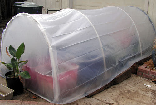 Cold frame greenhouse
