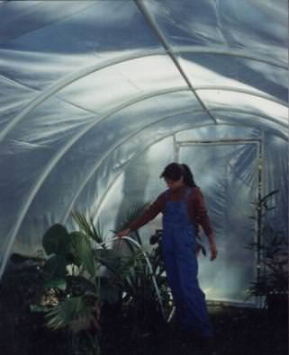 PVC greenhouse