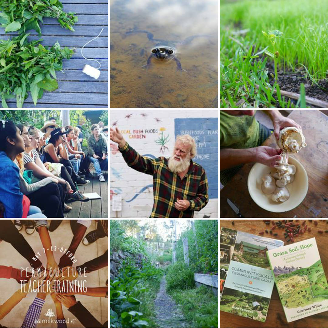 Milkwood Permaculture on Instagram