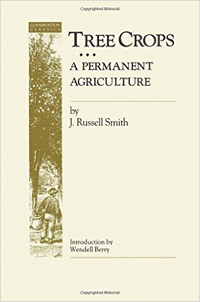 Tree Crops - A Permanent Agriculture
