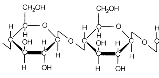 Figure 2 - Cellulose