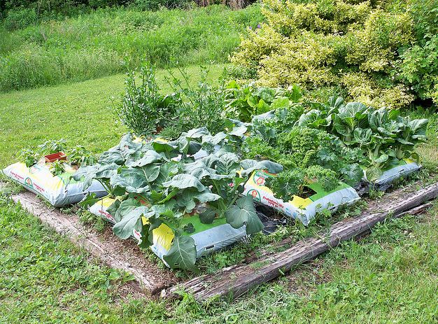 Grow Bag Gardening