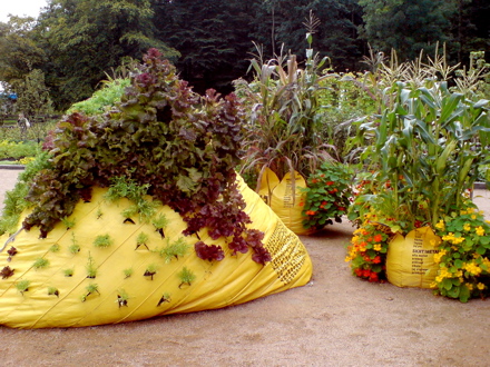 What the Heck are Bag Gardens?