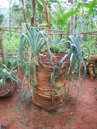 What the Heck are Bag Gardens? - Walden Labs