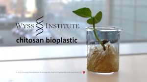 bioplastic 1