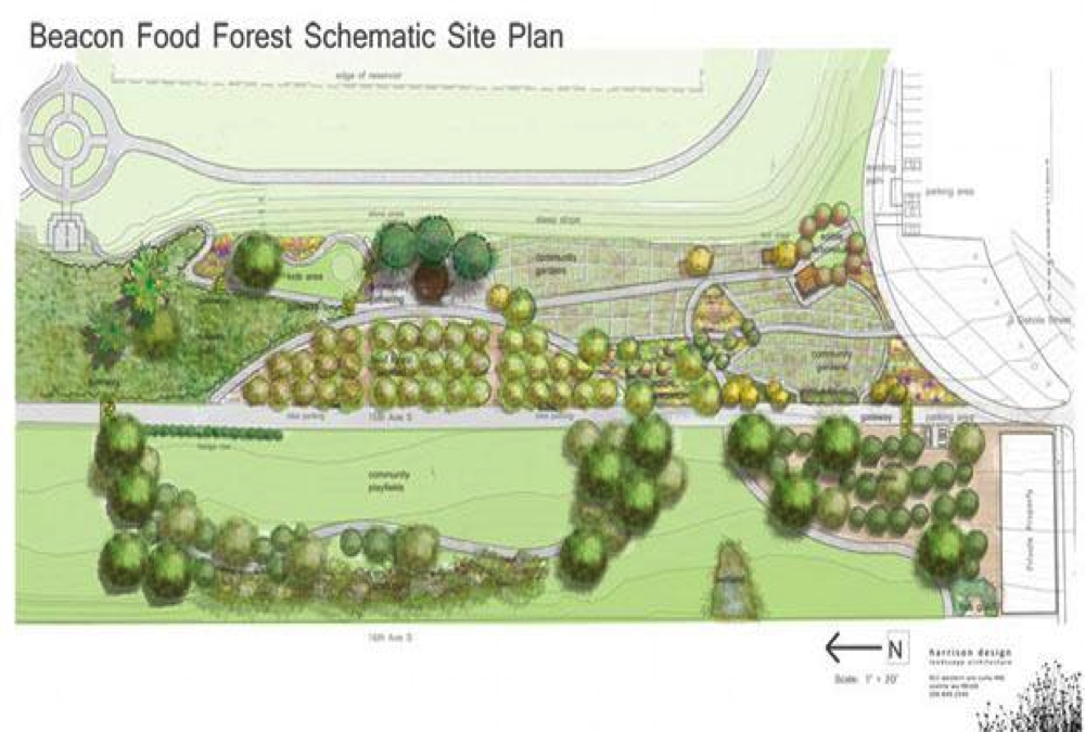 foodforest2