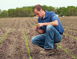 Young farmer