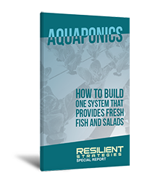 Aquaponics: How to Build One System That Provides Fresh Fish and Salads