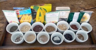 garden remedies newton garden remedies newton