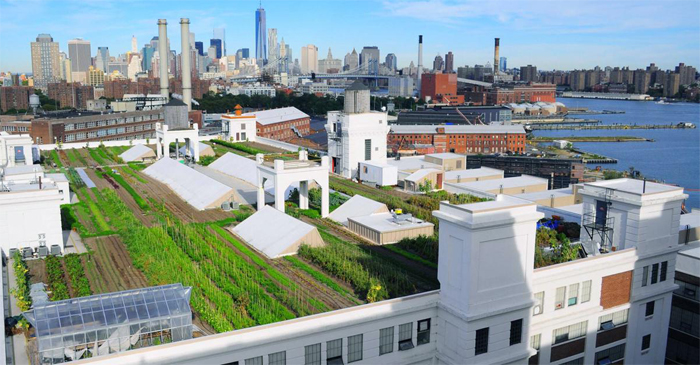 The World’s Largest Rooftop Farm Sets the Stage for Urban Growth