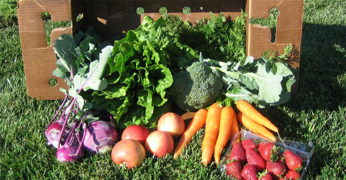Garden Didn’t Take This Year? Here's How To Join a CSA!