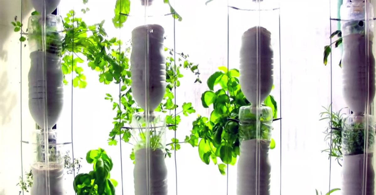 A vertical garden in your apartment built through distributed DIY