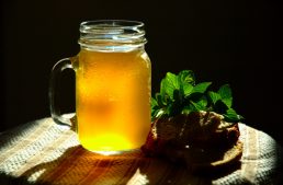 Old-Fashioned, Healthy, Lacto-Fermented Soft Drinks: The Real “Real Thing”