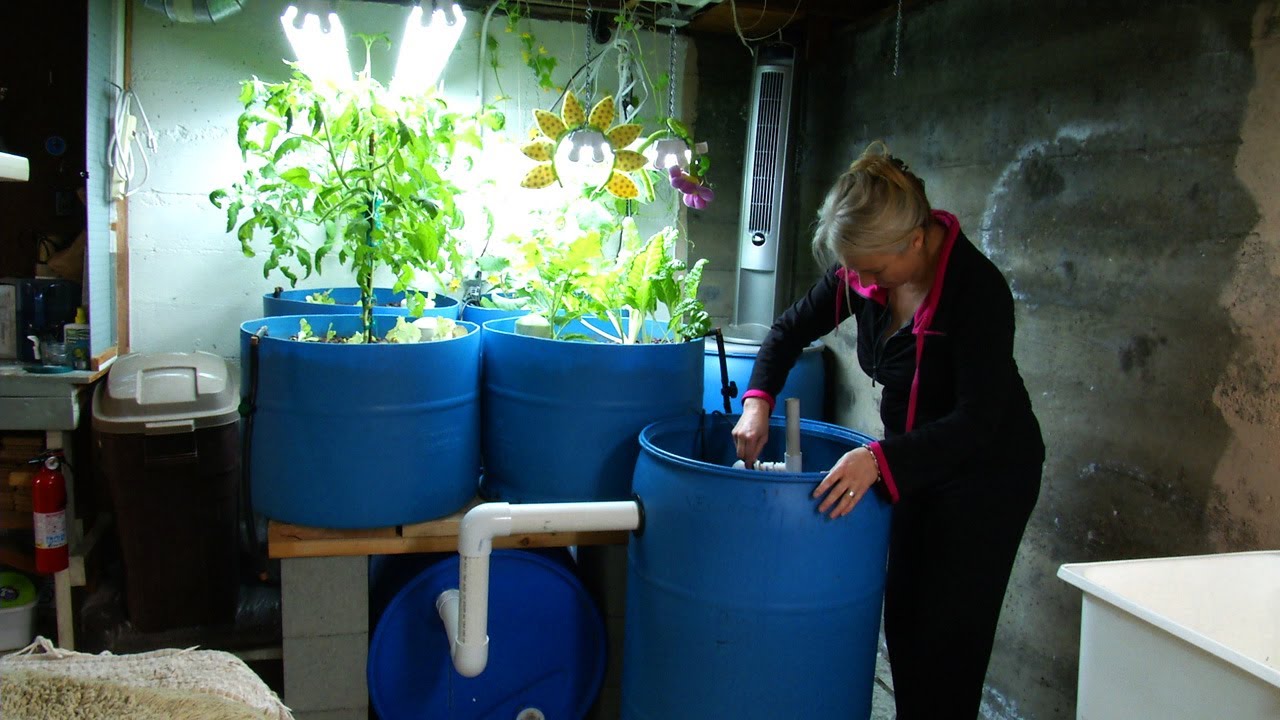 DIY Aquaponics: When You Add These Two Things Together Something Magical Happens