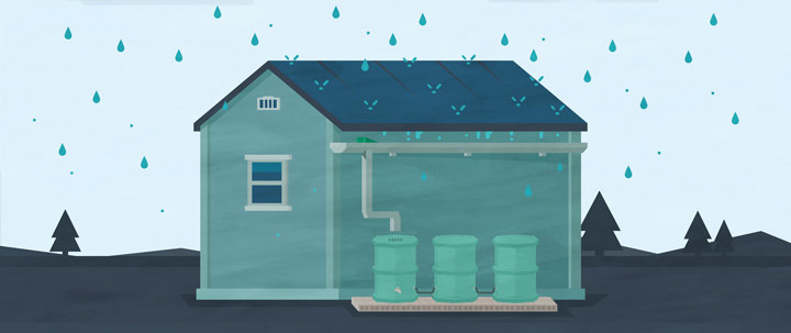 Rainwater Harvesting: Why Everyone Should Care and How to Do It