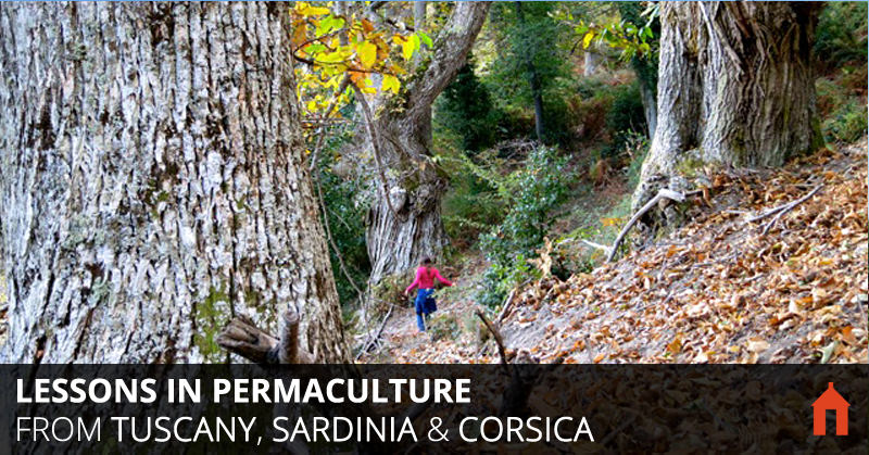 Timeless Lessons in Permaculture & Tree Crops From Tuscany, Sardinia & Corsica