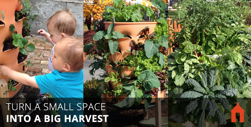 20 Vertical Gardening Ideas for Turning a Small Space into a Big Harvest