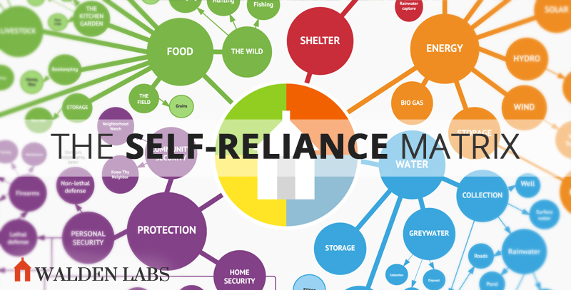 161 Aspects of Self-Reliance In One Massive Chart