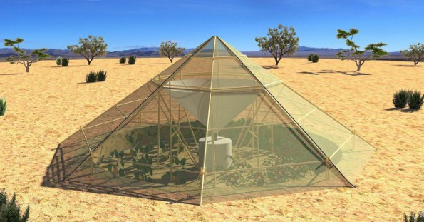 This Innovative New Greenhouse Makes It Possible To Grow Crops Even In The Desert