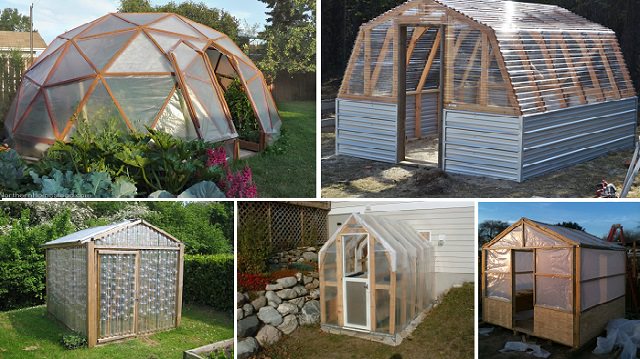 10 Easy DIY Greenhouse Plans  They re Free Walden Labs