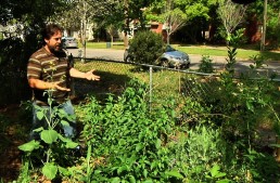 Permaculture Paradise: Tour of Alex’s Permagarden