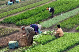 9 Global Grand Challenges for Mankind (And For You)