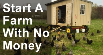How to Start a Farm with No Money