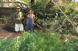 Permaculture Paradise: Tour of Val and Eli’s Garden!