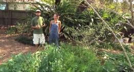 Permaculture Paradise: Tour of Val and Eli’s Garden!