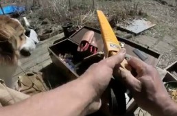 Basic Grafting Techniques, Tips and Tools with Ben Falk
