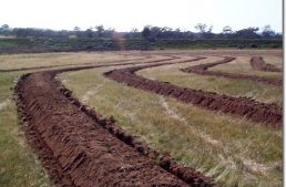 Case Study: Establishing a Cold Climate Permaculture Site in Sweden using Keyline Design, Part 2