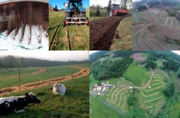 Setting up a Permaculture Farm in a Temperate Climate