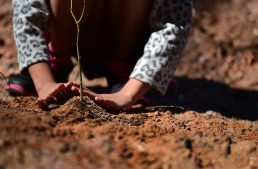 How the Automatic Earth Can Set Mankind Free
