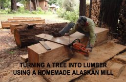 How To Turn a Tree into Lumber using a Homemade Alaskan Mill