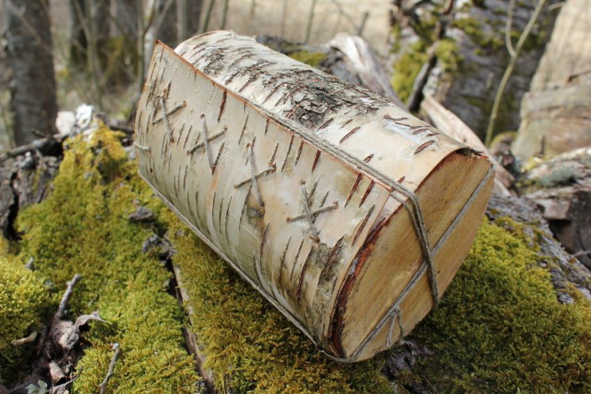 DIY Bog Butter A Gastronomic Perspective Walden Labs