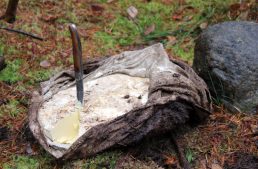 DIY Bog Butter: A Gastronomic Perspective